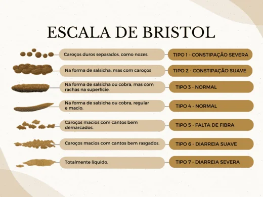 Escala de Bristol-8