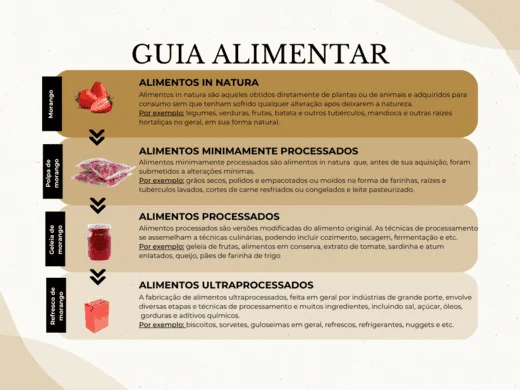 Guia Alimentar-6